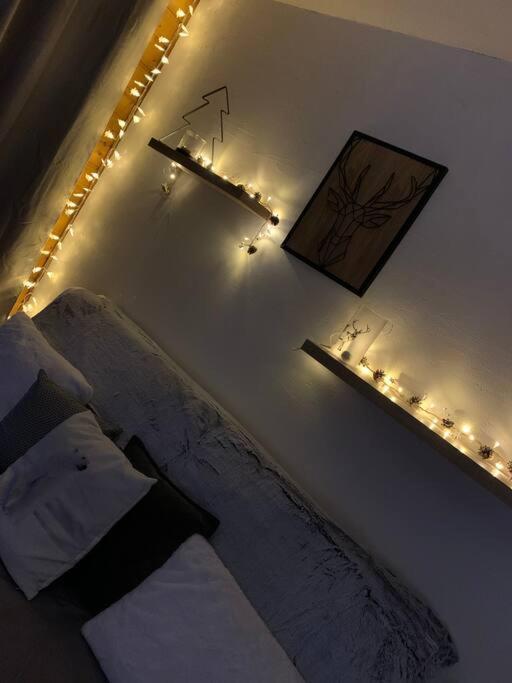 Appartement Au Pied Des Pistes ชาแตล ภายนอก รูปภาพ